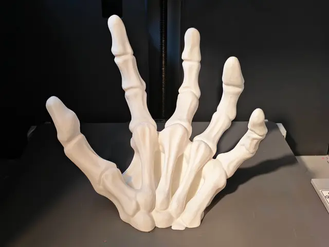 Magnetic hand skeleton — modelo 3D