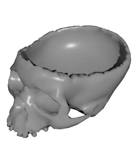 Semi-LowPoly Skull Bowl — modelo 3D