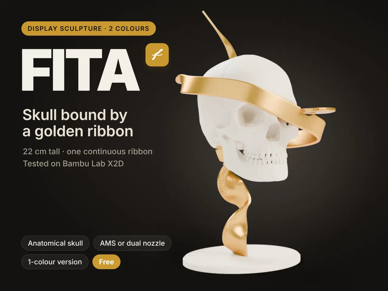 FITA – Skull Bound by a Golden Ribbon — modelo 3D