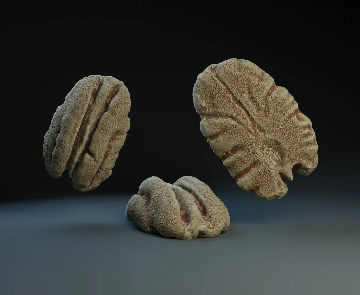 Pecan — modelo 3D