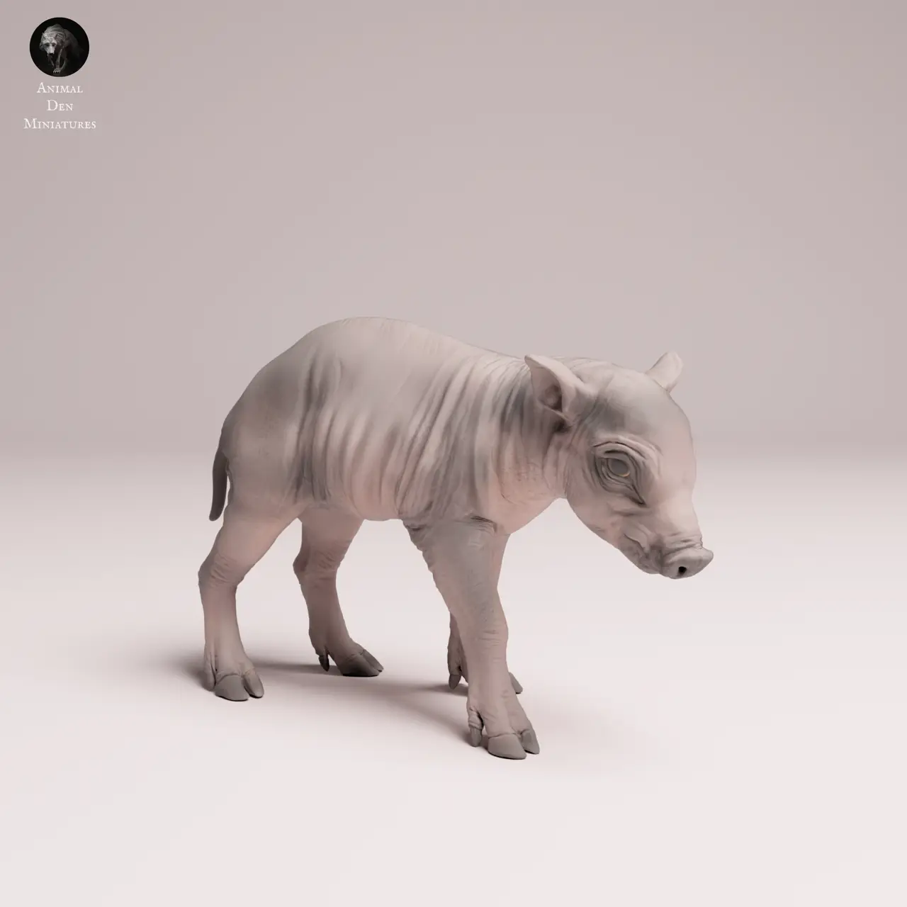 North Sulawesi Babirusa piglet — modelo 3D