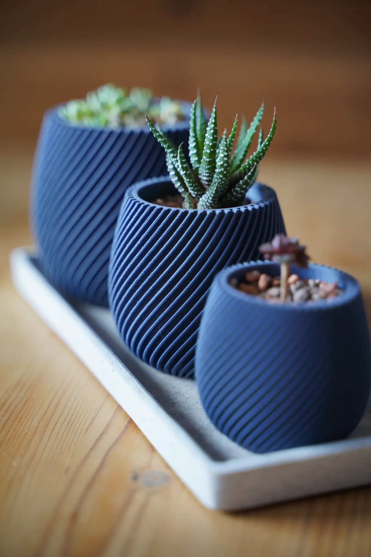 Modern spiral planter — modelo 3D
