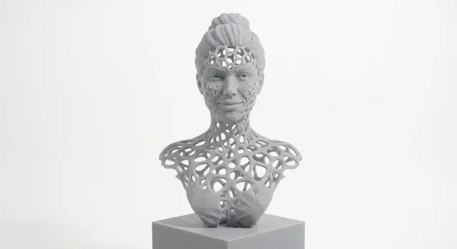 Voronoi Void Bust — modelo 3D