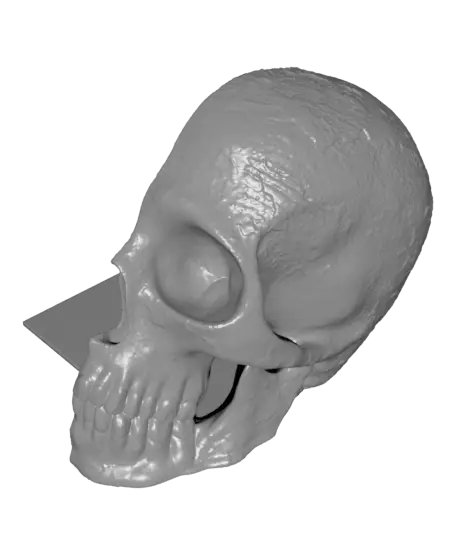 Skull bookends — modelo 3D