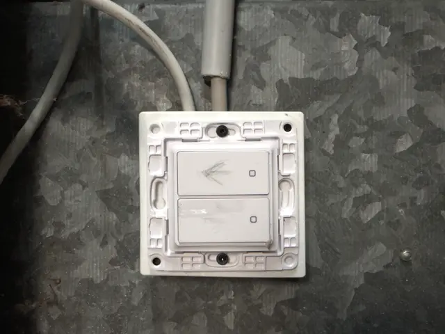 Shelly surface mounted switch box — modelo 3D