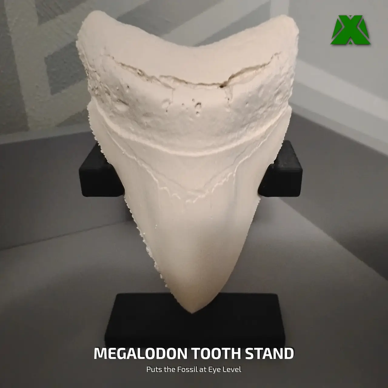 Megalodon Stand — modelo 3D