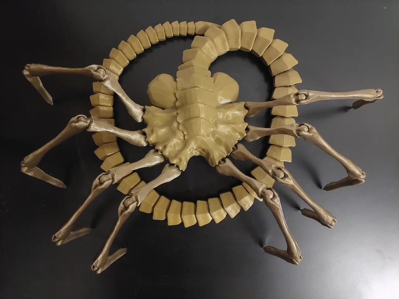 Facehugger Tail (Realistic Version) — modelo 3D