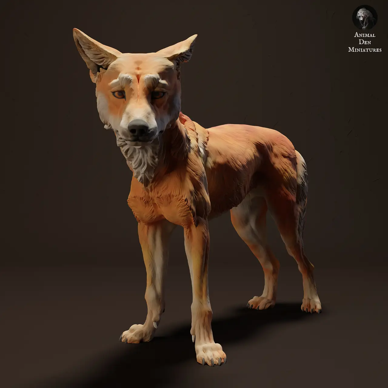 Dingo — modelo 3D