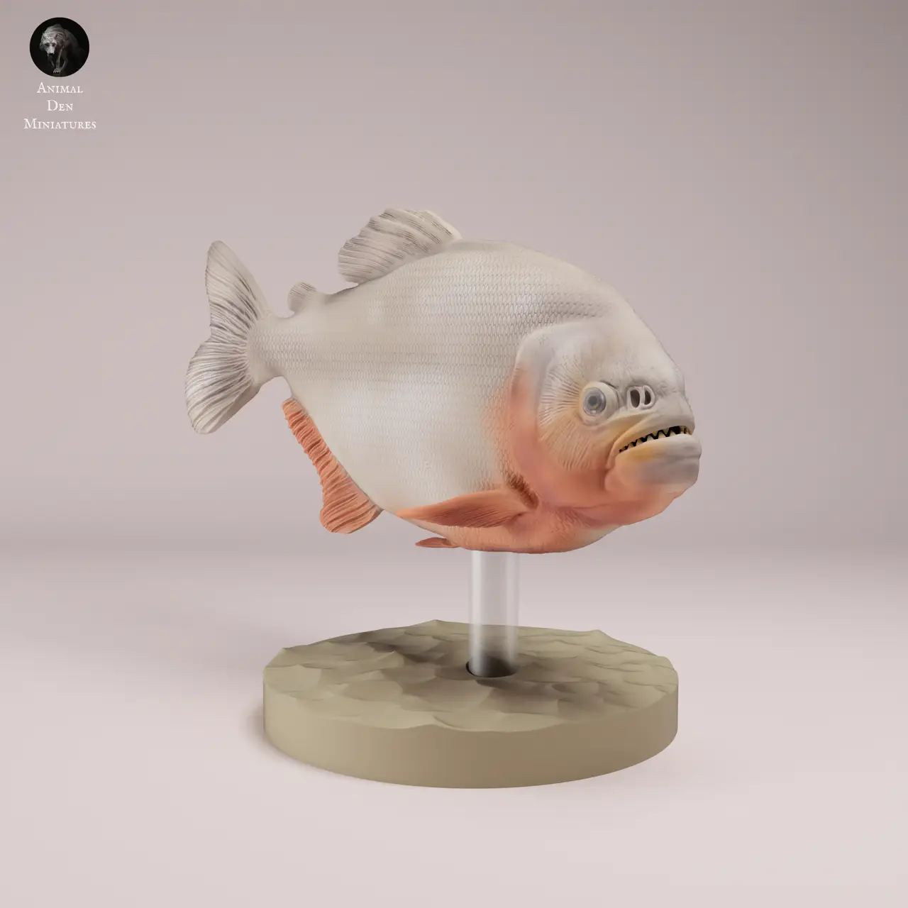 Red-bellied Piranha — modelo 3D