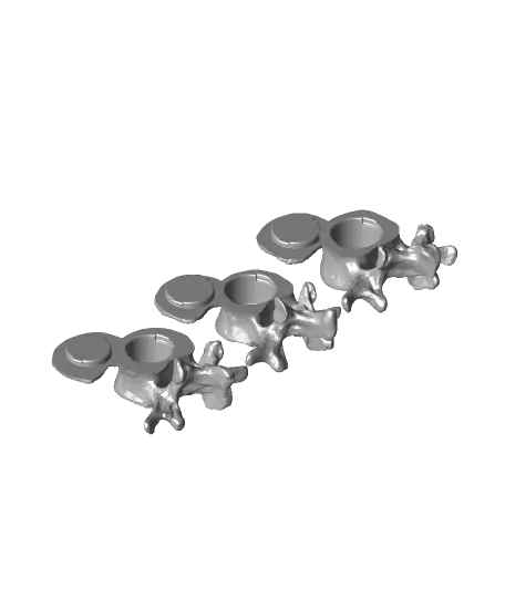 Vertebrae with Secret Compartments — modelo 3D