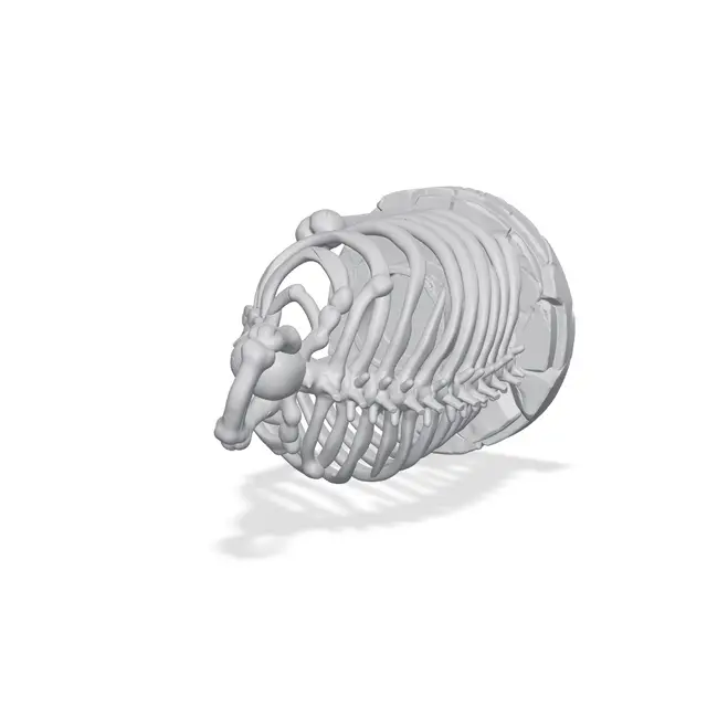 Skeleton Rib Cage Candle Holder — modelo 3D