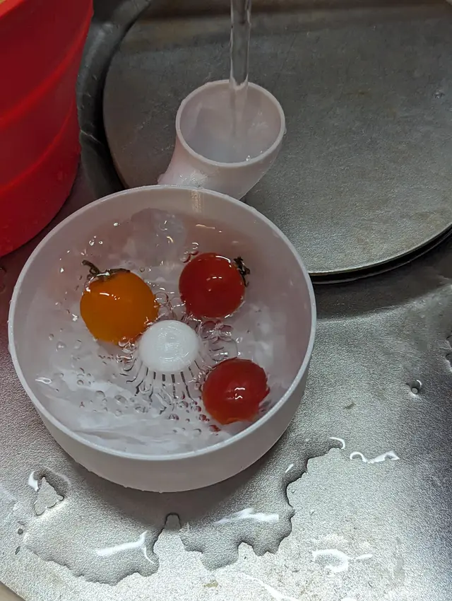Automatic vegetable and fruit washer- no supports and no assembly required. Small and large sizes — modelo 3D