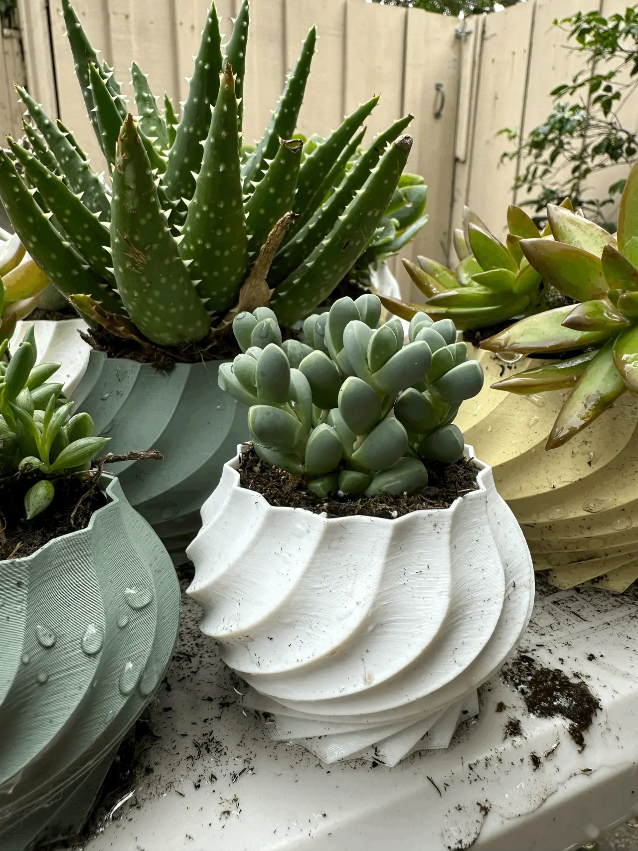Twisted Plant Pot Collection (5 varieties) — modelo 3D