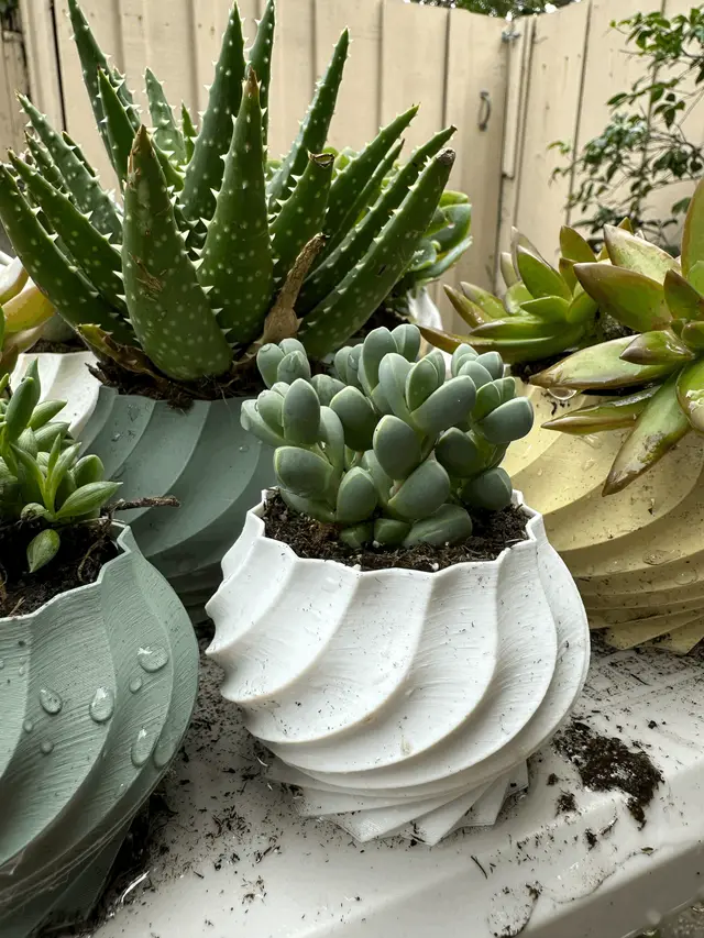 Twisted Plant Pot Collection (5 varieties) — modelo 3D