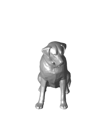 Labrador dog — modelo 3D