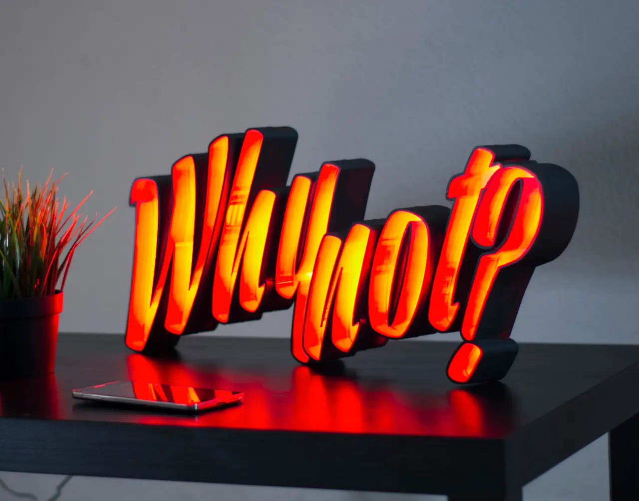 LED light letters "Why not?" — modelo 3D