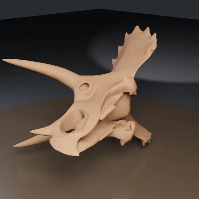 Triceratops Prorsus - 26-Piece Museum Skeleton — modelo 3D