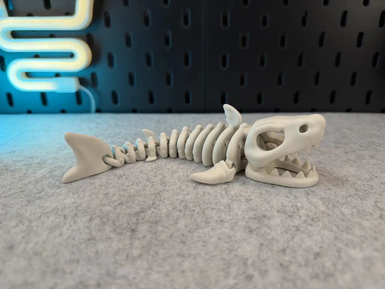 Articulated Skeleton Shark — modelo 3D