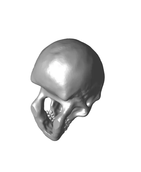 Simple Spooky Skull for Halloween — modelo 3D