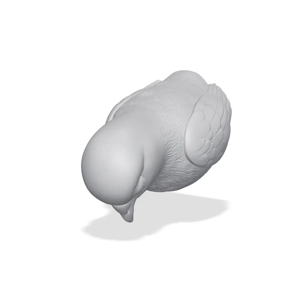 Pigeon Bust 3D Print STL — modelo 3D