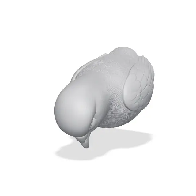 Pigeon Bust 3D Print STL — modelo 3D