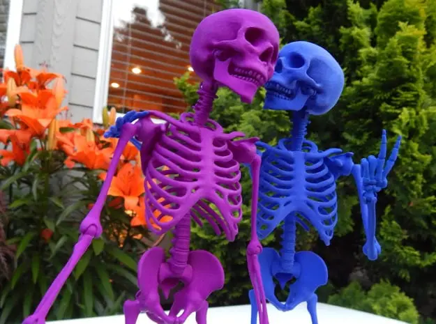 Mr Bones -- Articulated Skeleton — modelo 3D