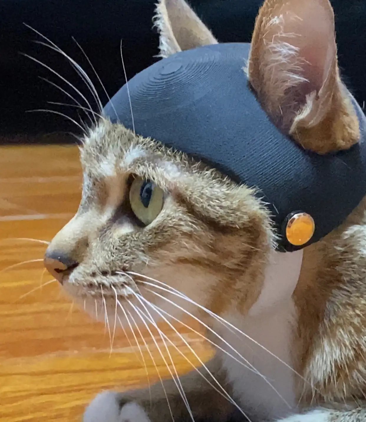 Cat Helmet — modelo 3D