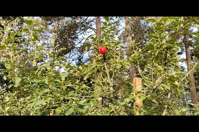 Fruit Picker attachment for Telescopic Extension Pole — modelo 3D