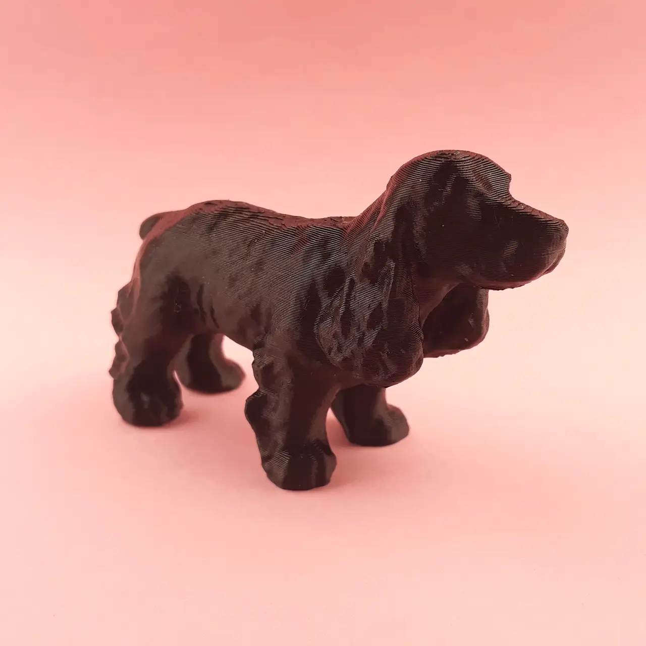 Cocker spaniel — modelo 3D