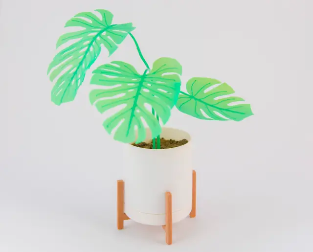 Mini Monsteras & Planter — modelo 3D